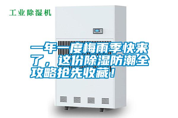 一年一度梅雨季快來了,這份除濕防潮全攻略搶先收藏!