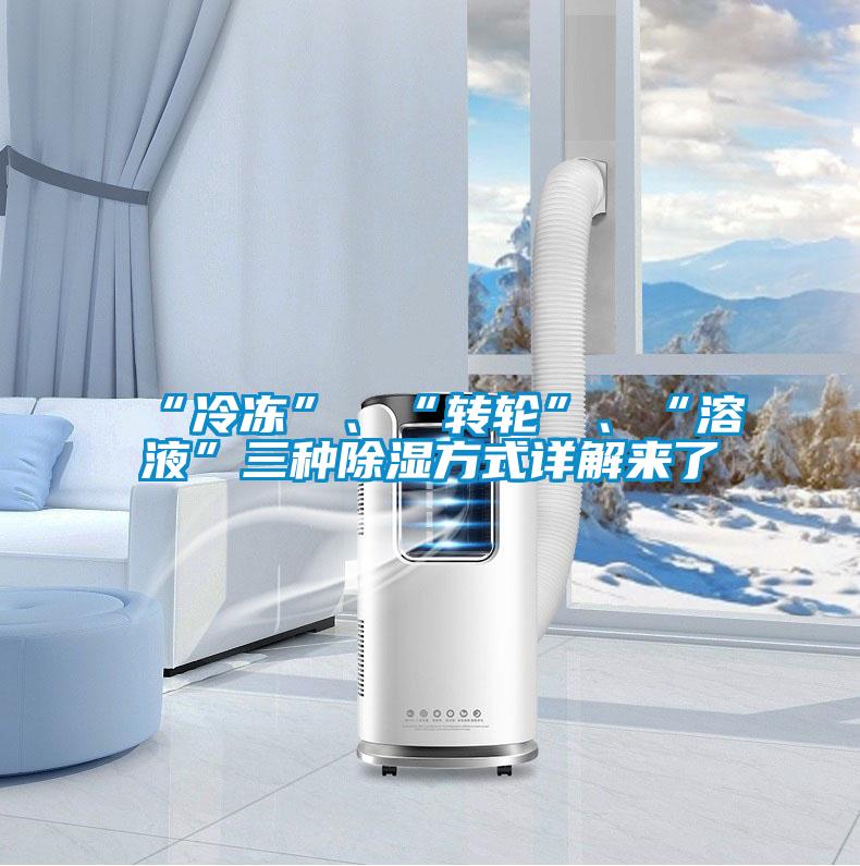 “冷凍”、“轉(zhuǎn)輪”、“溶液”三種除濕方式詳解來了