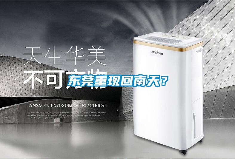 東莞重現回南天?