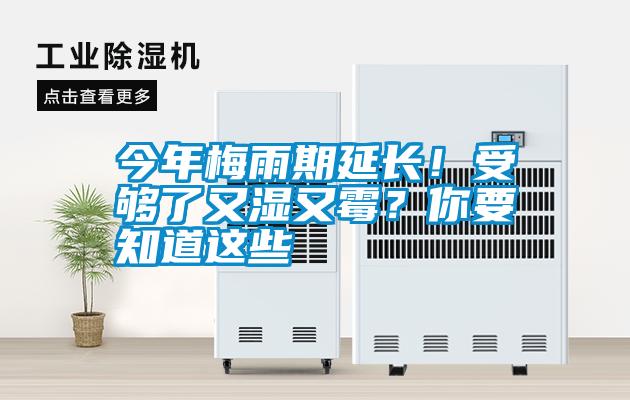 今年梅雨期延長！受夠了又濕又霉？你要知道這些