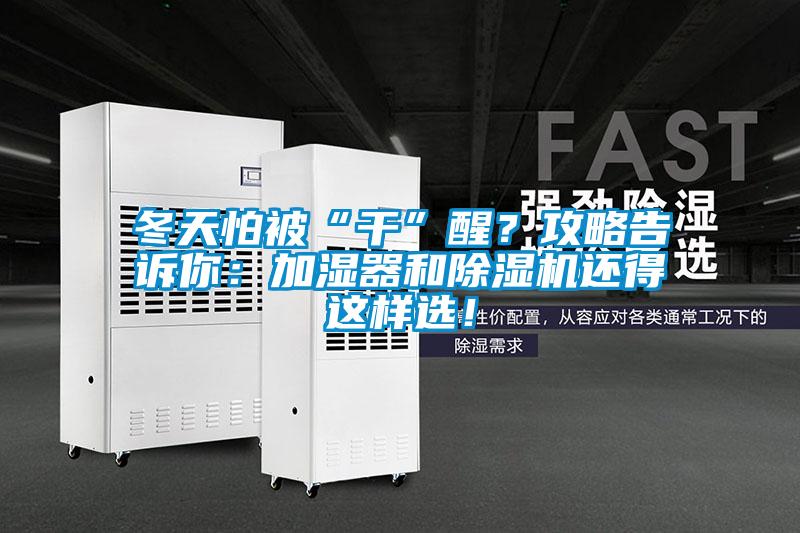 冬天怕被“干”醒？攻略告訴你：加濕器和除濕機還得這樣選！