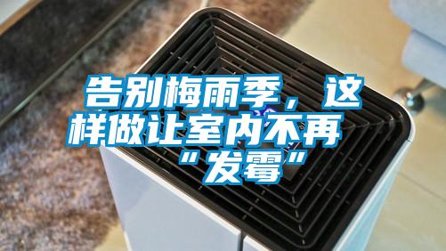 告別梅雨季,這樣做讓室內(nèi)不再“發(fā)霉”