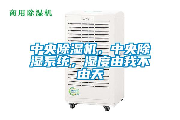 中央除濕機,中央除濕系統,濕度由我不由天