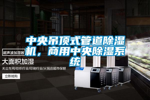 中央吊頂式管道除濕機，商用中央除濕系統