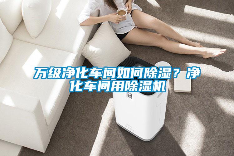 萬級(jí)凈化車間如何除濕?凈化車間用除濕機(jī)