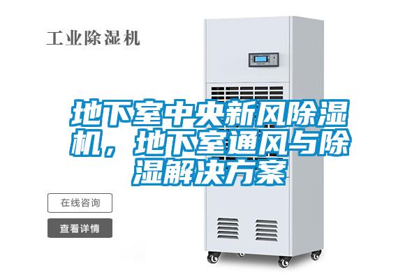 地下室中央新風除濕機，地下室通風與除濕解決方案
