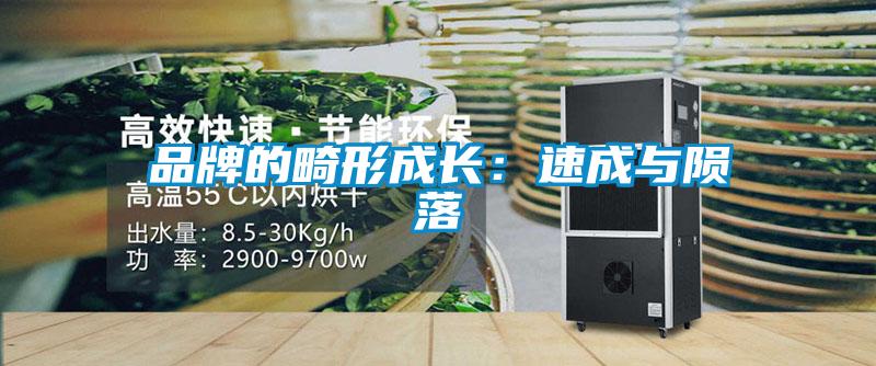 品牌的畸形成長(zhǎng):速成與隕落