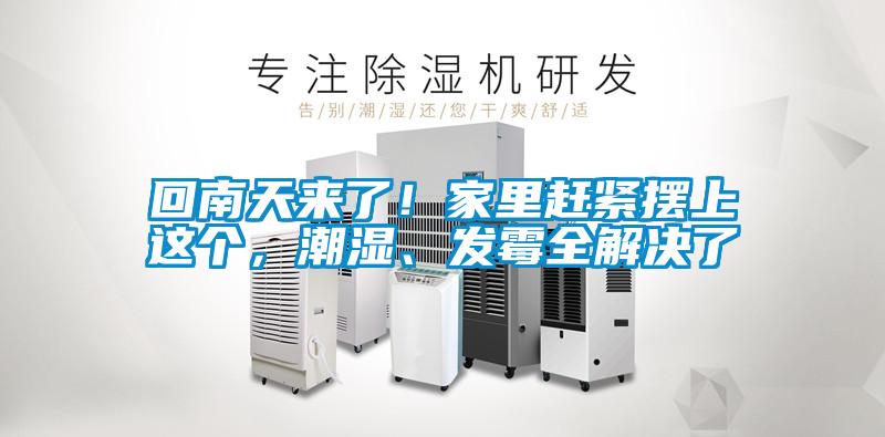 回南天來了!家里趕緊擺上這個,潮濕、發霉全解決了