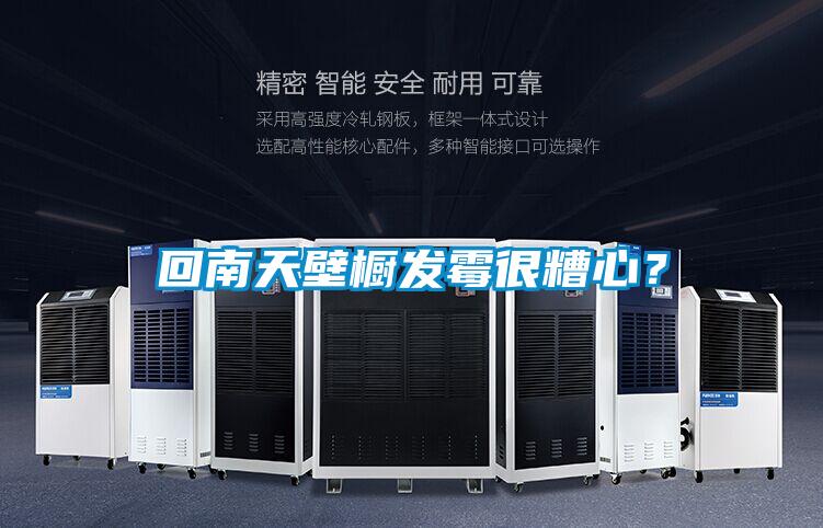 回南天壁櫥發(fā)霉很糟心?