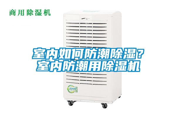 室內如何防潮除濕?室內防潮用除濕機