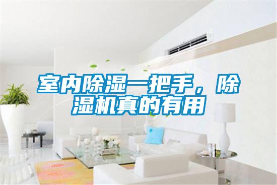 室內(nèi)除濕一把手，除濕機(jī)真的有用