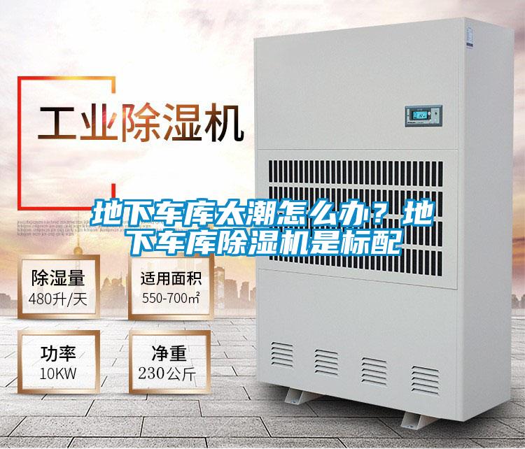 地下車庫太潮怎么辦？地下車庫除濕機是標配