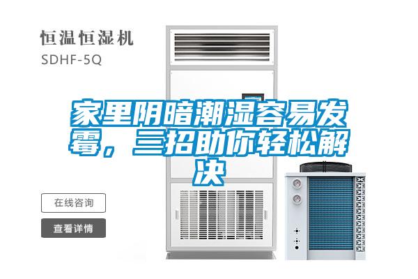 家里陰暗潮濕容易發(fā)霉,三招助你輕松解決