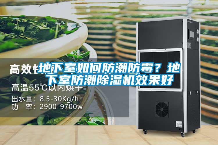 地下室如何防潮防霉?地下室防潮除濕機(jī)效果好