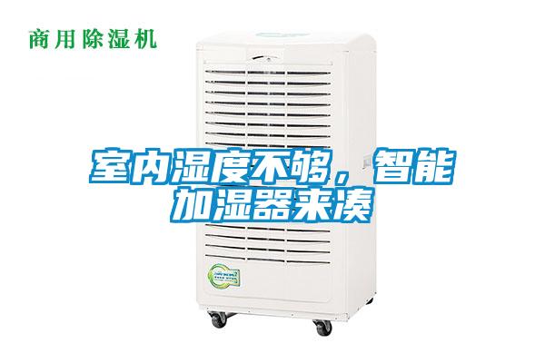 室內(nèi)濕度不夠,智能加濕器來(lái)湊