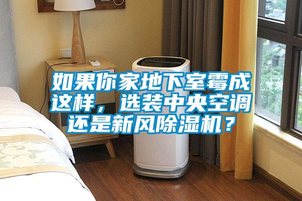 如果你家地下室霉成這樣，選裝中央空調(diào)還是新風(fēng)除濕機(jī)？