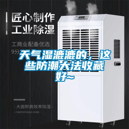 天氣濕漉漉的，這些防潮大法收藏好~