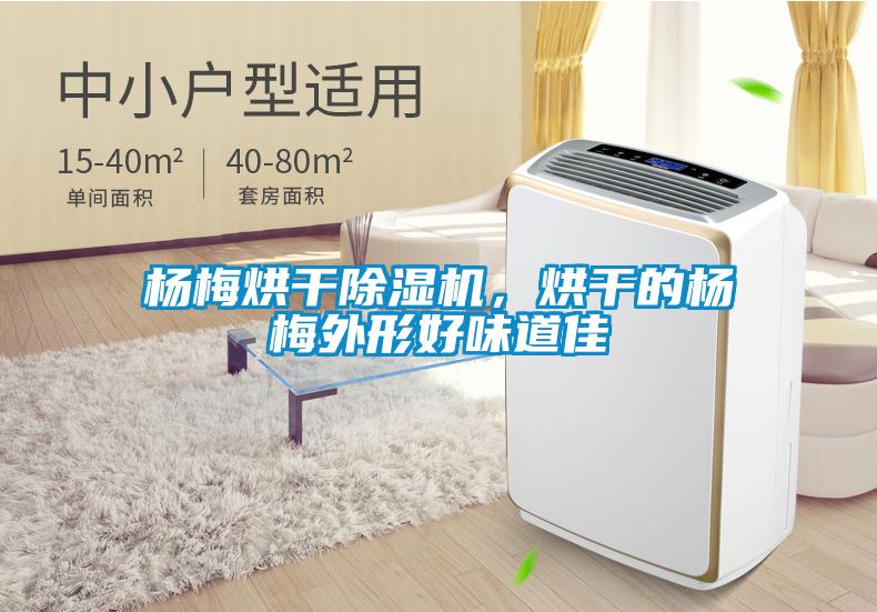 楊梅烘干除濕機(jī),烘干的楊梅外形好味道佳