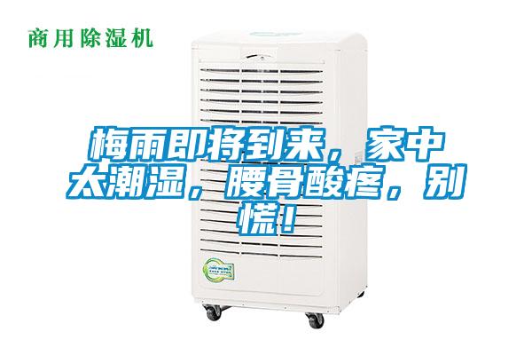 梅雨即將到來,家中太潮濕,腰骨酸疼,別慌!