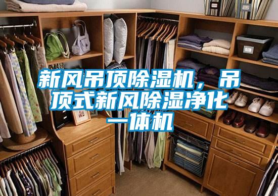 新風(fēng)吊頂除濕機,吊頂式新風(fēng)除濕凈化一體機