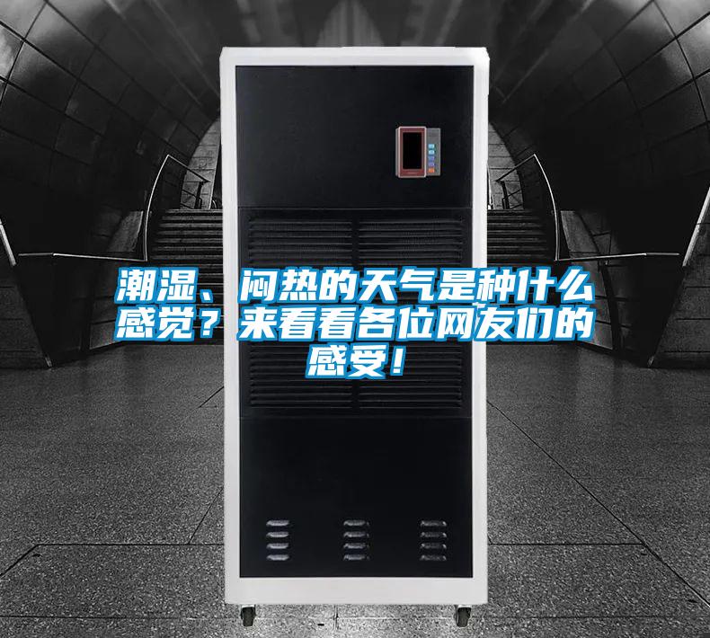 潮濕、悶熱的天氣是種什么感覺?來看看各位網友們的感受!