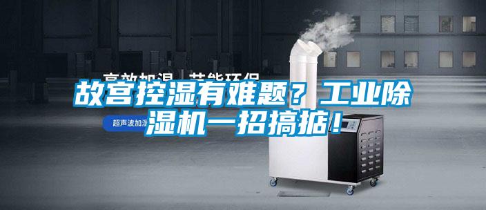 故宮控濕有難題？工業(yè)除濕機(jī)一招搞掂！