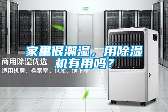 家里很潮濕，用除濕機有用嗎？