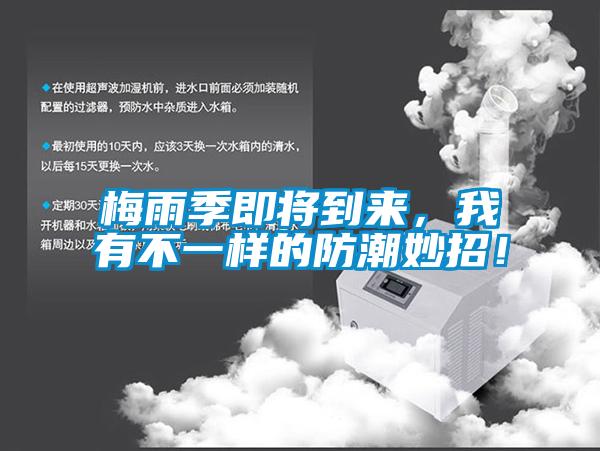 梅雨季即將到來,我有不一樣的防潮妙招!