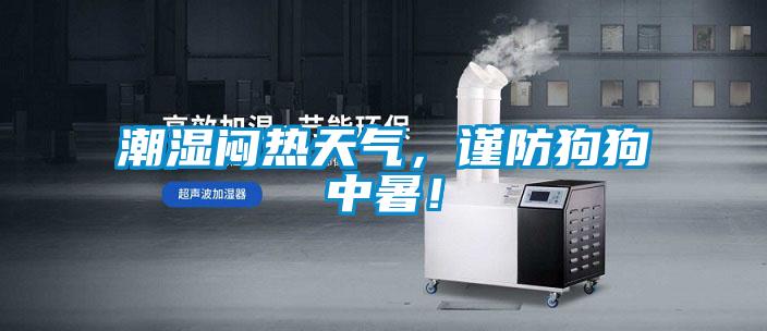 潮濕悶熱天氣,謹防狗狗中暑!