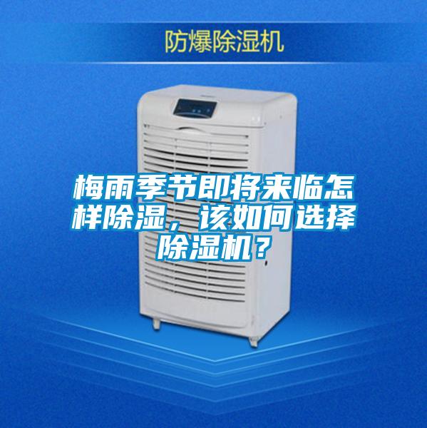 梅雨季節即將來臨怎樣除濕，該如何選擇除濕機？