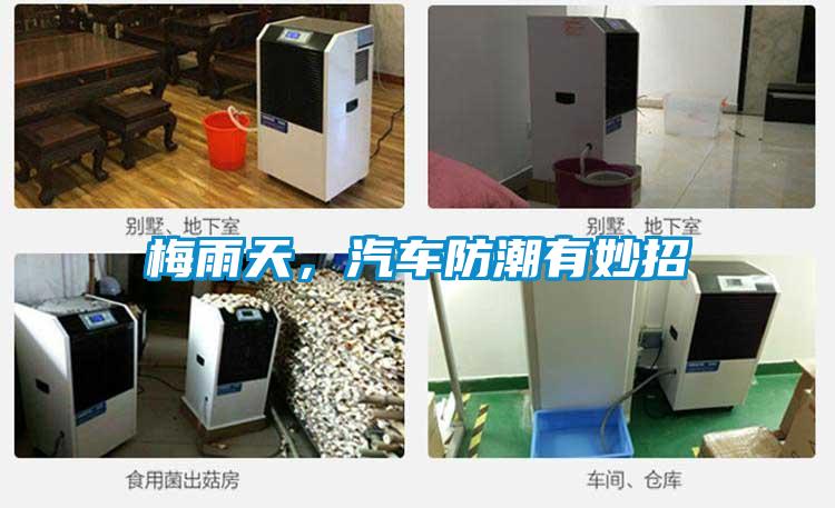 梅雨天，汽車防潮有妙招