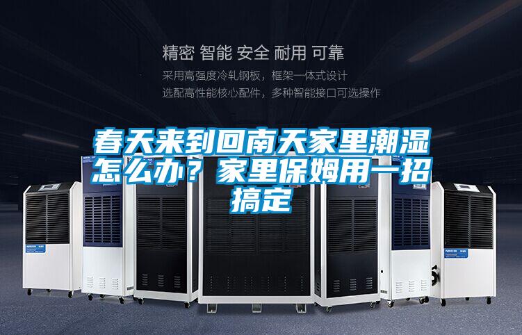 春天來到回南天家里潮濕怎么辦？家里保姆用一招搞定