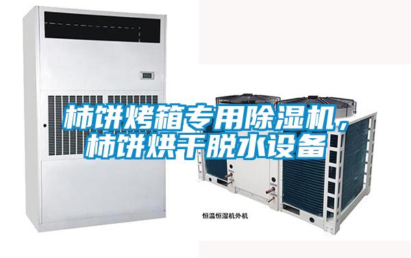 柿餅烤箱專(zhuān)用除濕機(jī)，柿餅烘干脫水設(shè)備