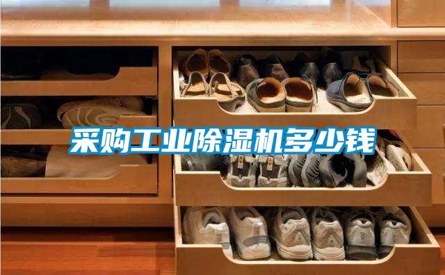 采購(gòu)工業(yè)除濕機(jī)多少錢(qián)