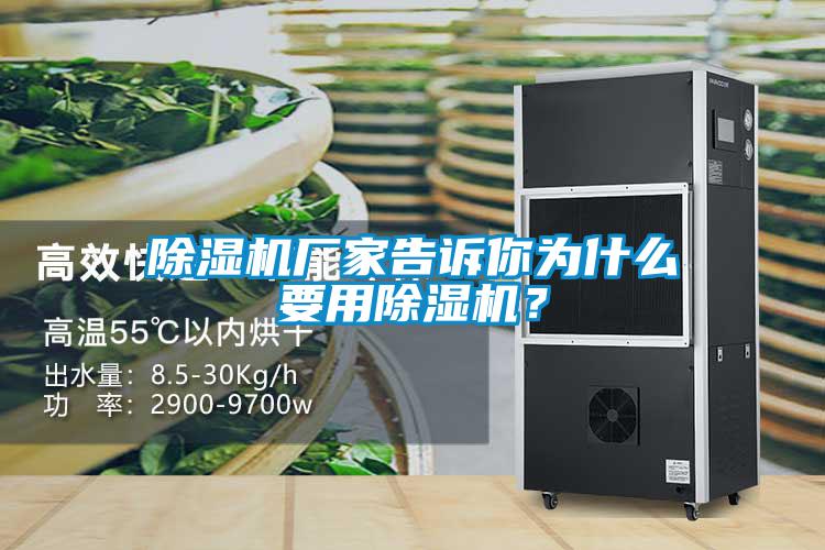 除濕機廠家告訴你為什么要用除濕機？