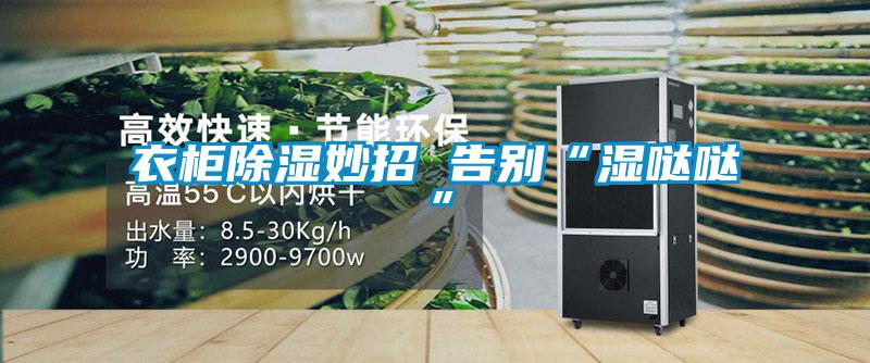 衣柜除濕妙招 告別“濕噠噠”