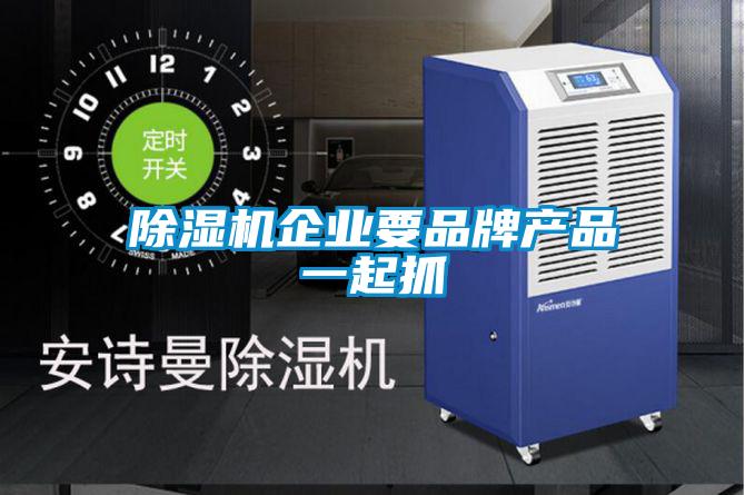 除濕機企業(yè)要品牌產品一起抓