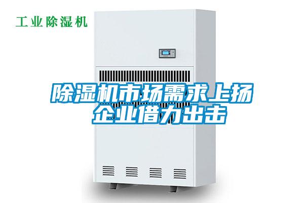 除濕機(jī)市場需求上揚(yáng) 企業(yè)借力出擊