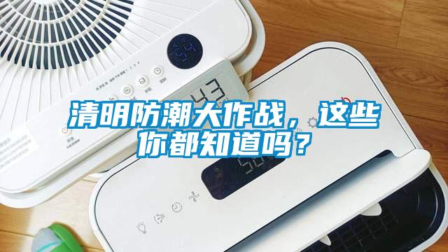 清明防潮大作戰，這些你都知道嗎？