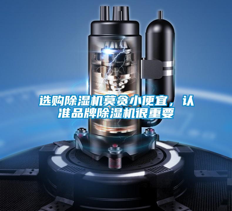選購(gòu)除濕機(jī)莫貪小便宜,認(rèn)準(zhǔn)品牌除濕機(jī)很重要