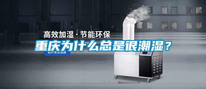 重慶為什么總是很潮濕？