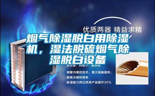 煙氣除濕脫白用除濕機(jī),濕法脫硫煙氣除濕脫白設(shè)備