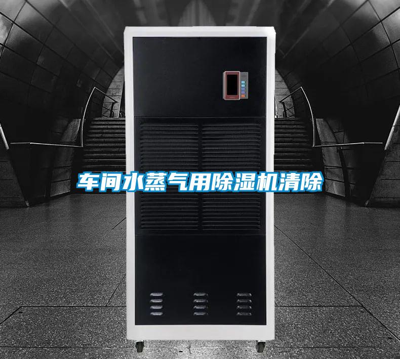 車(chē)間水蒸氣用除濕機(jī)清除