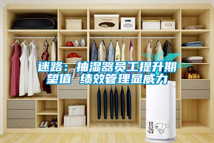 迷路:抽濕器員工提升期望值 績效管理顯威力