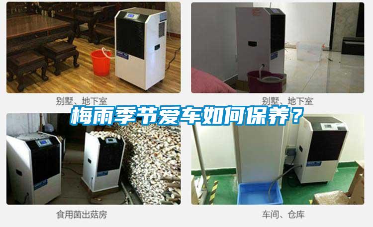 梅雨季節愛車如何保養？