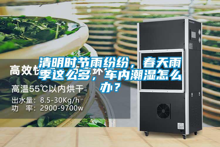 清明時節雨紛紛，春天雨季這么多，車內潮濕怎么辦？