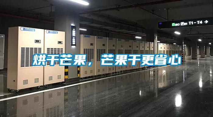 烘干芒果，芒果干更省心