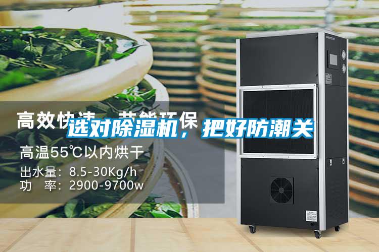 選對除濕機，把好防潮關