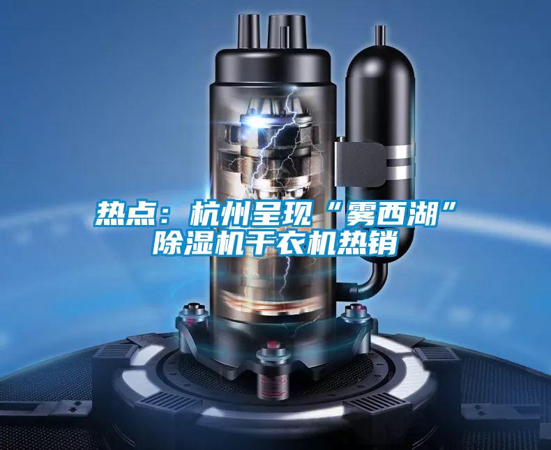 熱點:杭州呈現“霧西湖”除濕機干衣機熱銷
