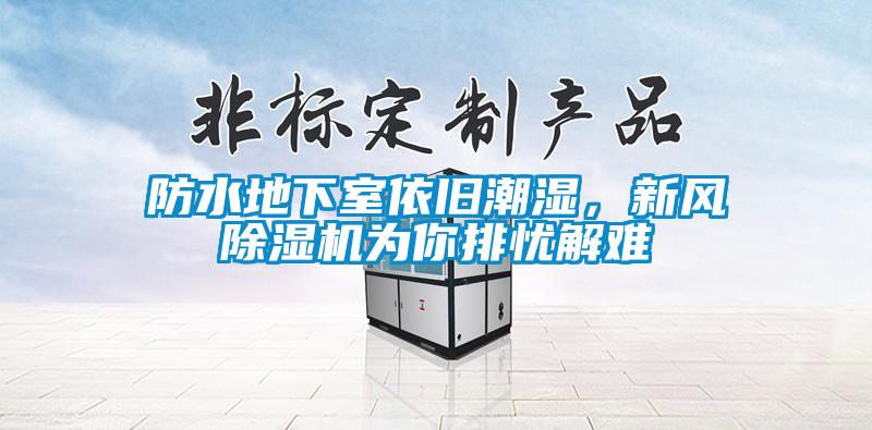 防水地下室依舊潮濕,新風除濕機為你排憂解難